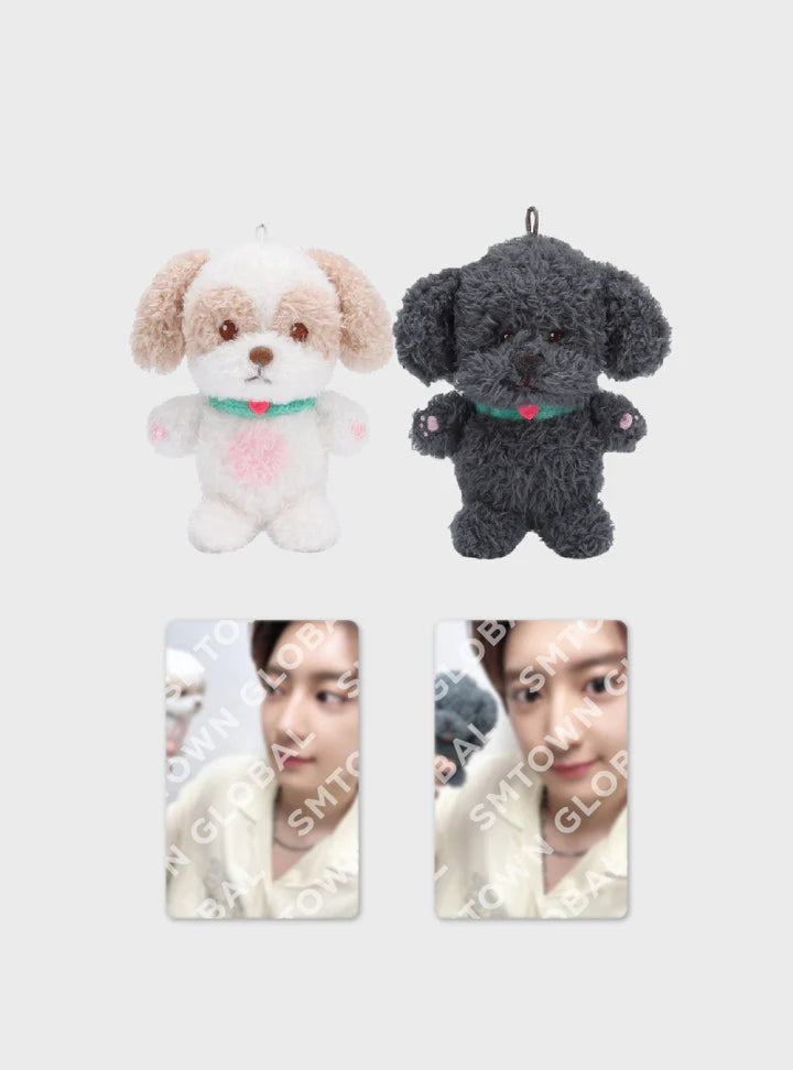 CHANYEOL (EXO) 10CM DOLL SET - 2024 CHANYEOL LIVE TOUR : 都市風景 (City-scape) MD