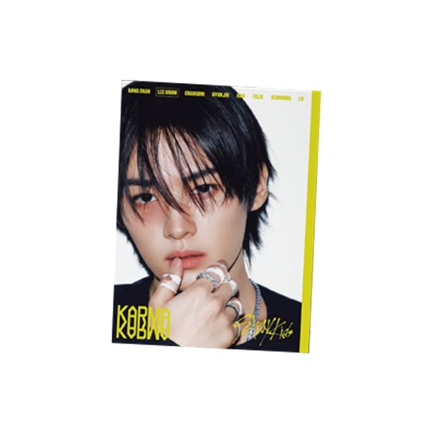 STRAY KIDS 4TH ALBUM - KARMA (ACCORDION VER.) w/FANSHOP POB