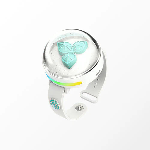 DAY6 - OFFICIAL LIGHT BAND (VER. 3)